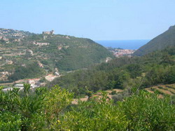 Agriturismo DA